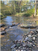  stream through woods with rocks Trout Brook Trail at Ganondagan by Jill Cadogan