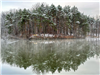 Winter Evergreens at Boughton Park reflected in the West Pond by Claudia Walsh