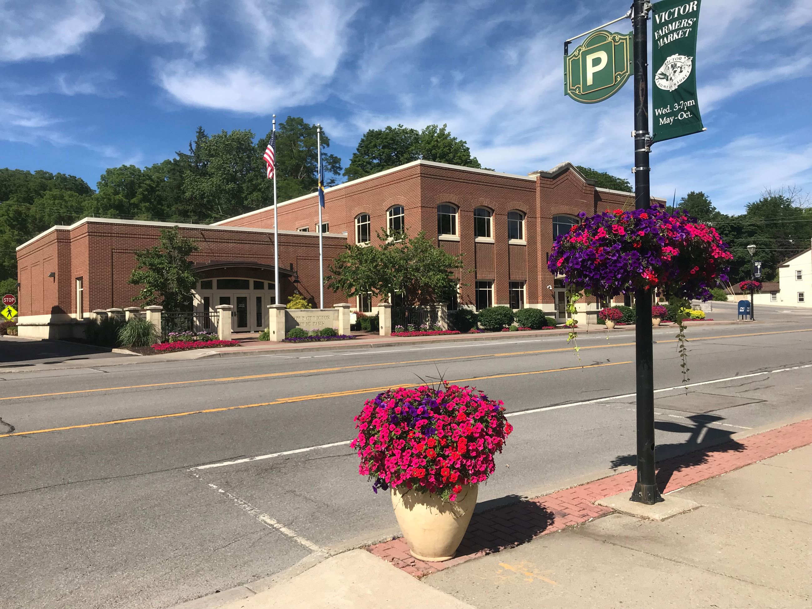Town Hall Flowers on Light Pole pinks and purples