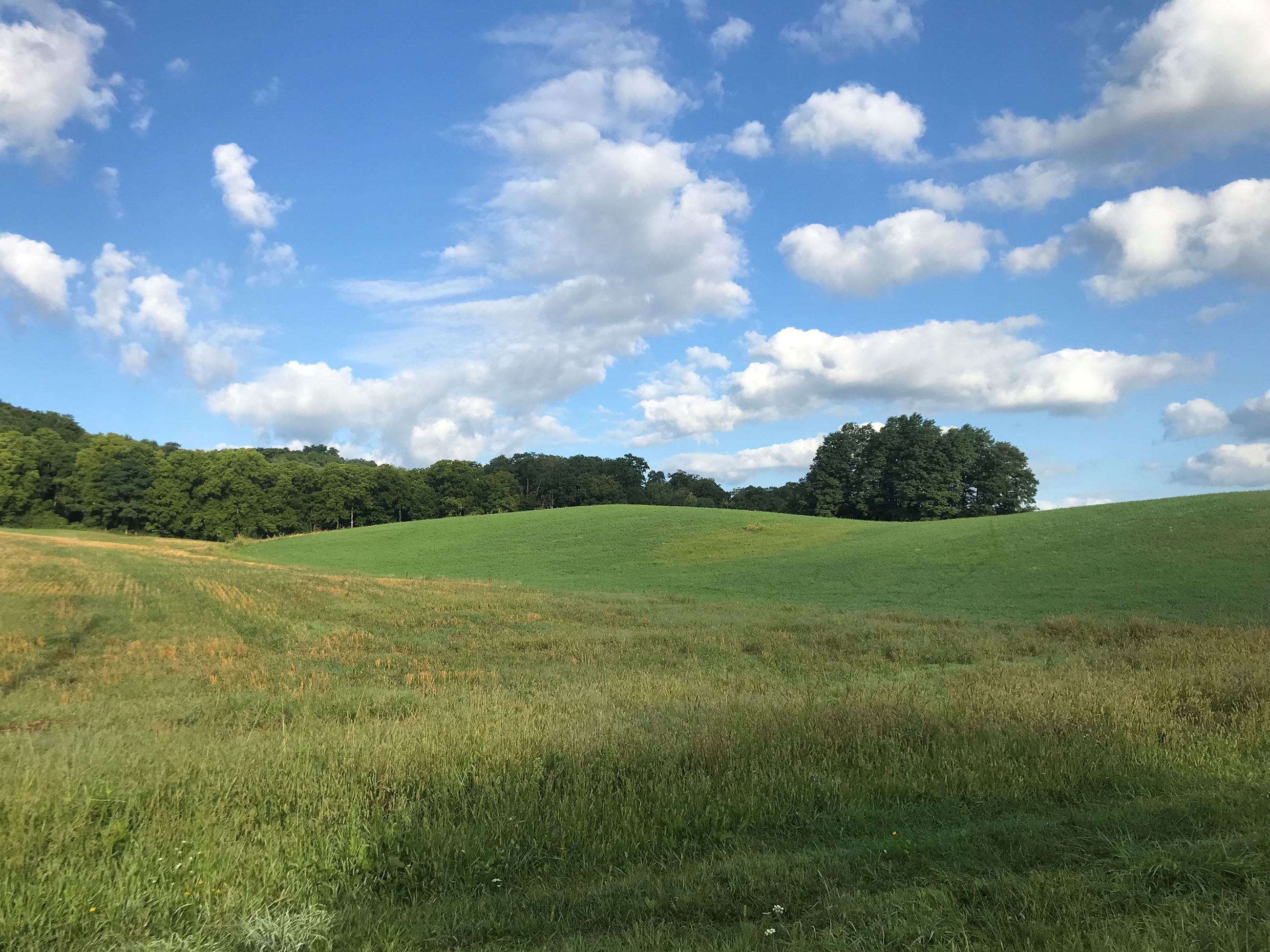 Strong Road Field by Kim Reese