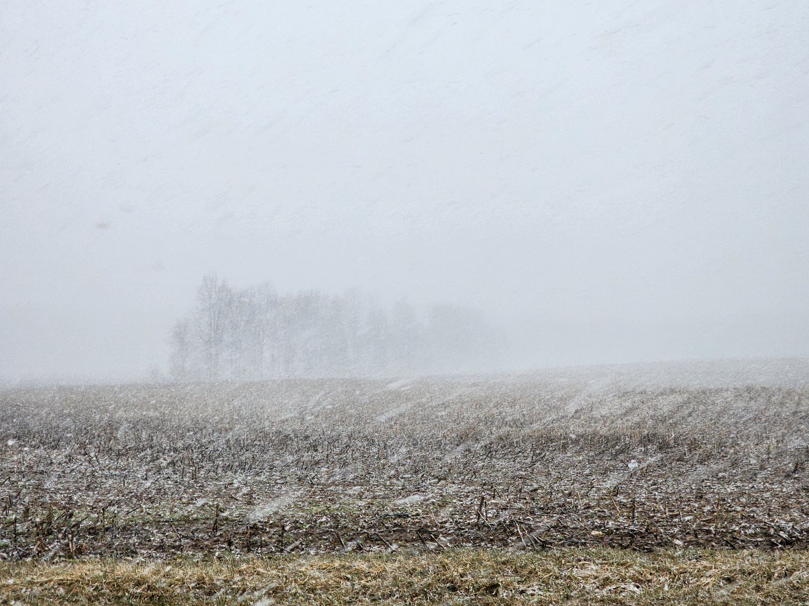 Linda Romagnolo, Gillis Road 03292023