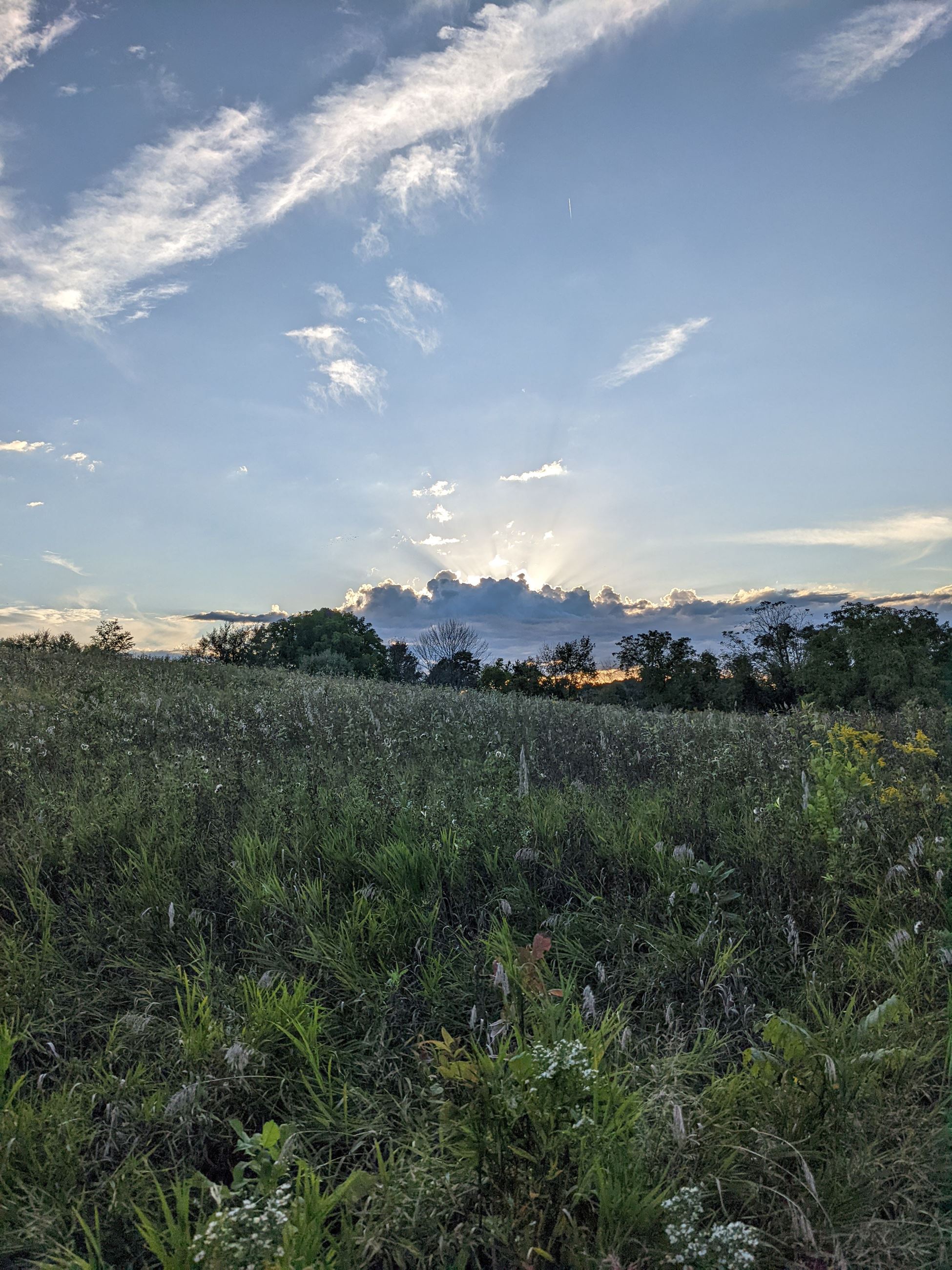 Kassandra Doyle, Ganondagan Field, Victor NY 2022, sun behind clouds