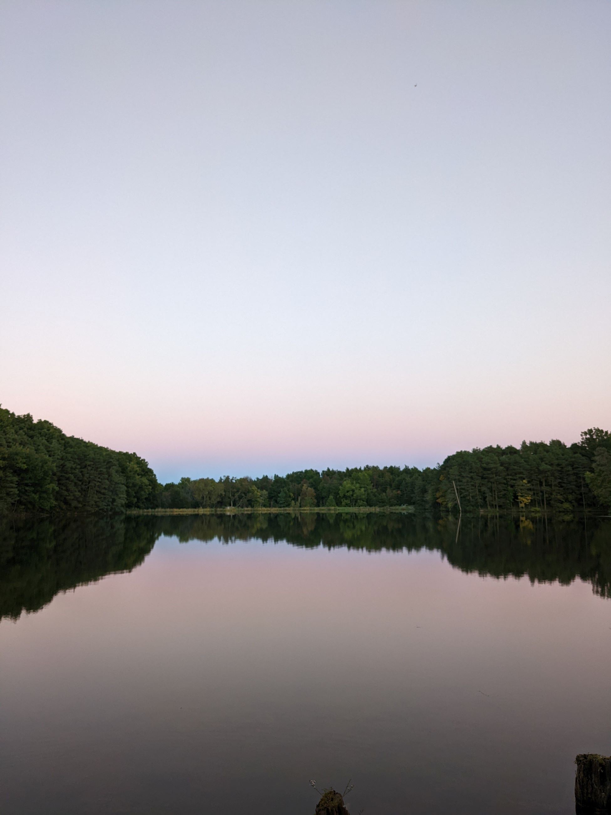 Kassandra Doyle, Pink Sky reflected in pond at Boughton Park