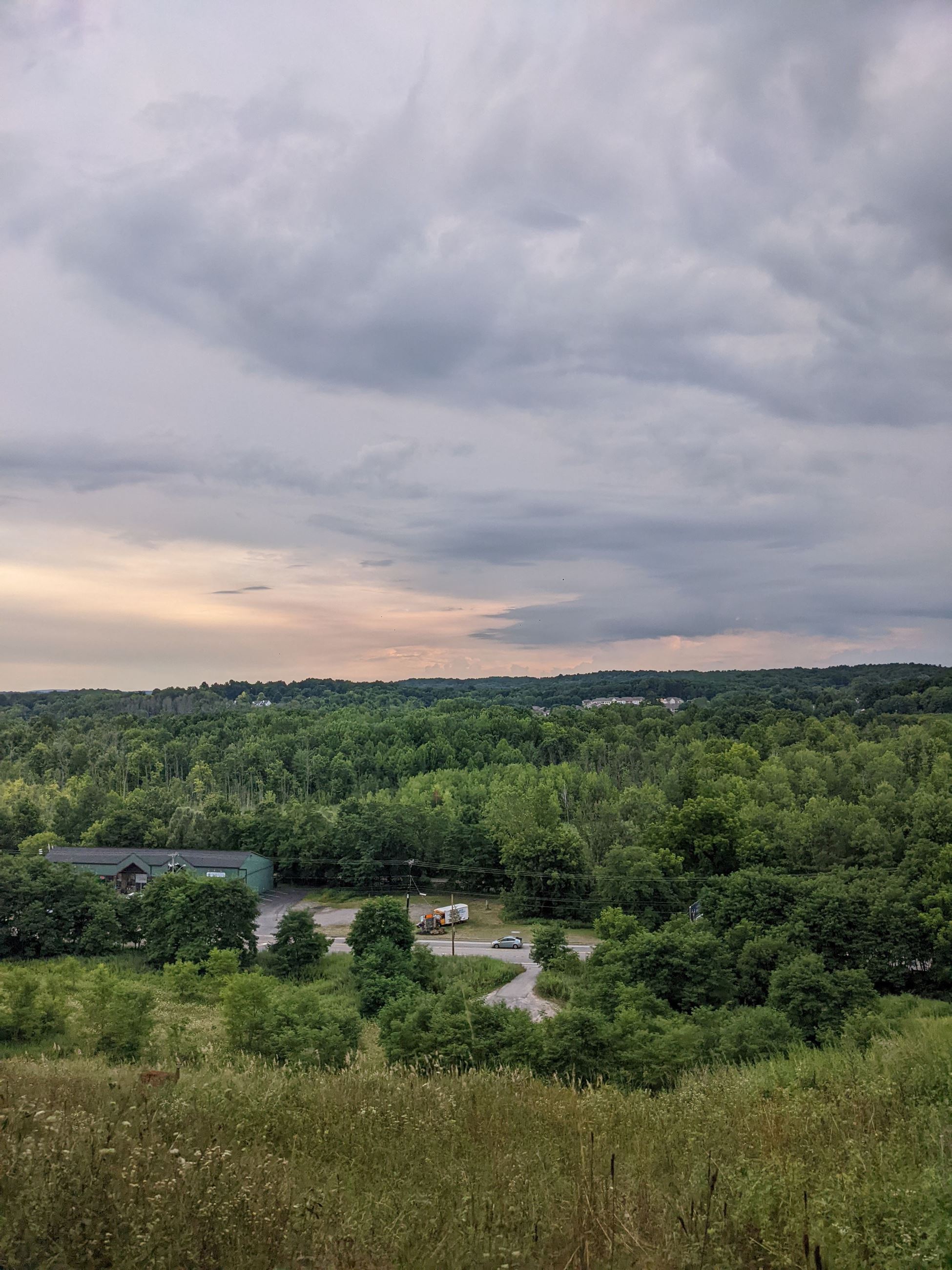 Kassandra Doyle, View from St. Patrick Cemetery, pink sky over green trees