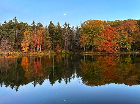 Boughton Park Fall Trees Reflecting on Pond