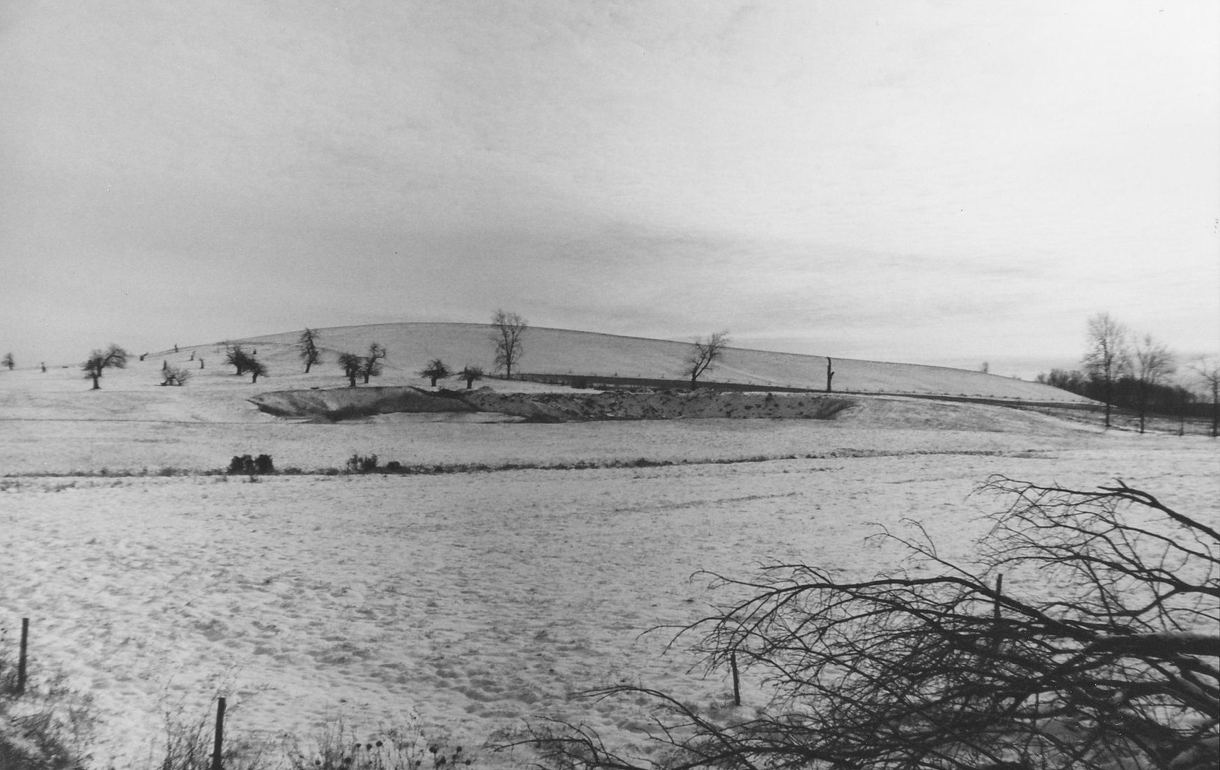 Lauder Farm Drumlin c. 2001