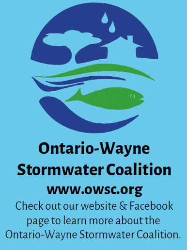 Ontario Wayne Stormwater Coalition logo graphic for Article